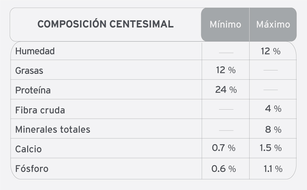 12181749 HighProTabla